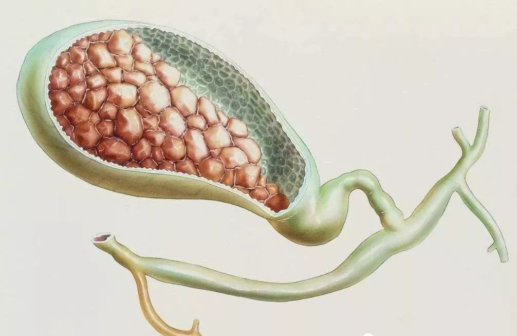 独胆实战秘籍，毒胆一棵松的长期策略